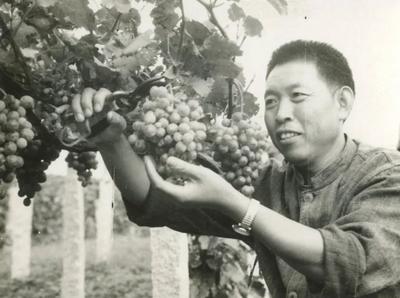 他用影像见证青岛发展历史  