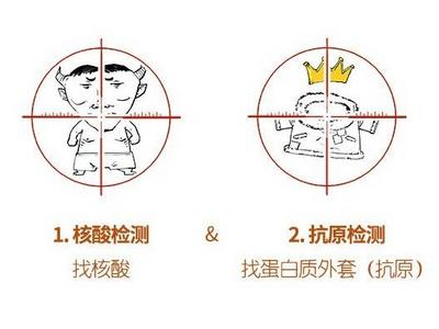 抗原检测和核酸检测有啥区别？一图带你轻松看懂