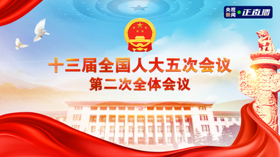 回放｜十三届全国人大五次会议第二次全体会议