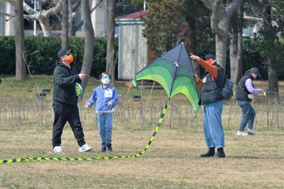 纸鸢漫天飞，这才是春天正确的打开方式