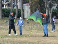 纸鸢漫天飞，这才是春天正确的打开方式