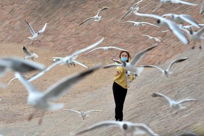 赶紧来“鸥遇”，错过等半年
