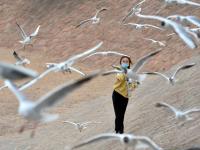 赶紧来“鸥遇”，错过等半年