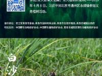 漫步湿地，种一棵树！观海喊你一起“碳”索