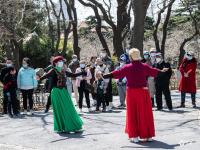 定格春日！中山公园赏花季如约而至