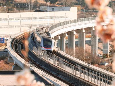青岛地铁11号线：开往山花烂漫处