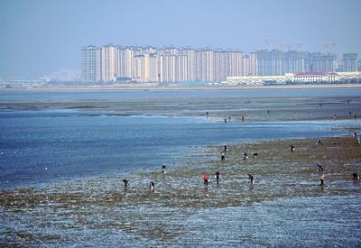 青岛小众公园+1！它是城市里的赶海好去处｜瞰城⑰
