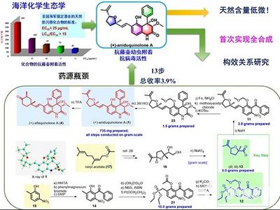 海洋药源瓶颈问题有效解决！海大实现抗病毒海洋天然产物全合成及规模化制备