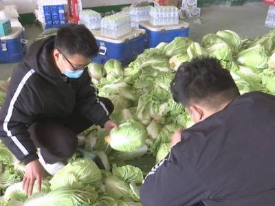 让更多一线工作人员吃上新鲜蔬菜！莱西爱心小伙捐赠20吨大白菜和土豆