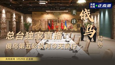 回放 | 俄乌第五轮谈判举行