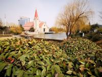 漫步李村河 | 早春信号④