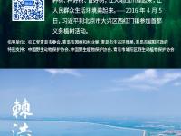 漫步湿地，种一棵树！观海喊你一起“碳”索