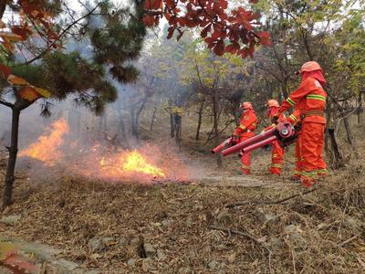 牢牢守住不发生森林火灾底线！青岛市召开森林防灭火年度工作会议