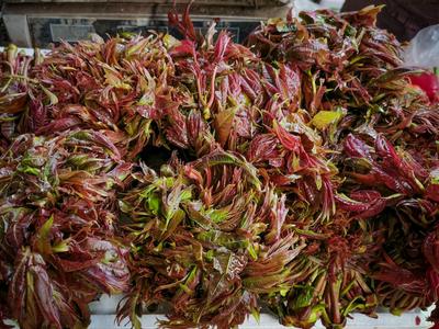 野菜陆续上市，青岛市疾控中心提醒：春日尝鲜莫大意