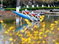 梅花玉兰绽放……这个公园的春色关不住了