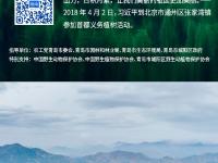 漫步湿地，种一棵树！观海喊你一起“碳”索