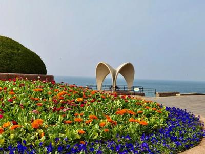 花海美如画 海滨处处惹人“醉”