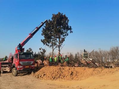 唤醒“沉睡地带”，青岛这个区推进公园城市建设三年攻坚