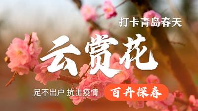“云赏花”直播② | 百卉探春 线上赏花 不负春光
