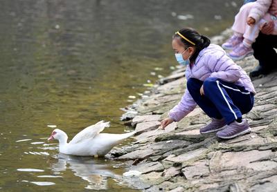 没错，北岭山的春天属于孩子们