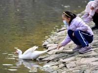 没错，北岭山的春天属于孩子们