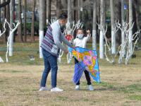 纸鸢漫天飞，这才是春天正确的打开方式