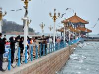 赶紧来“鸥遇”，错过等半年