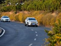 实拍青岛街头迎春花：娇艳的小黄花传递春天的讯息