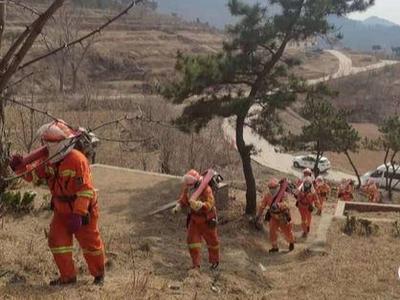 完成割打防火隔离带8000余亩，青岛这里战“疫”防火两手抓