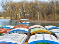 梅花玉兰绽放……这个公园的春色关不住了