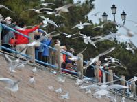 赶紧来“鸥遇”，错过等半年