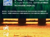 漫步湿地，种一棵树！观海喊你一起“碳”索