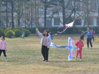 纸鸢漫天飞，这才是春天正确的打开方式