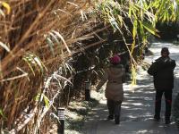 在这里拍摄别样前海大片，这处山中瞭望台一般人我不告诉