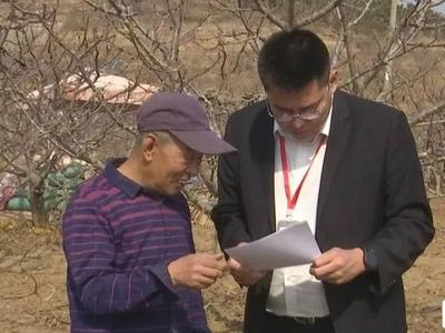 青岛这里的农民为果树投保险，去年获赔151521元
