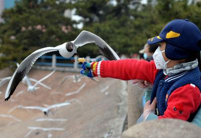 赶紧来“鸥遇”，错过等半年