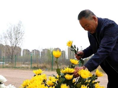 即日起，青岛各殡仪馆、公墓等殡葬服务场所暂停市民现场祭扫活动