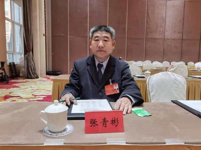 张青彬代表：建议将开车玩手机视为“危险驾驶”