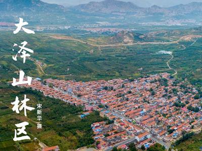 漫步湿地，种一棵树！观海喊你一起“碳”索