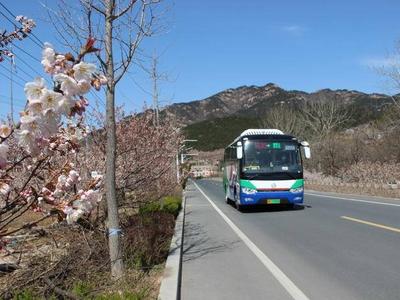 4月1日起，青岛这7条公交线路恢复夏季运行计划