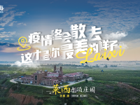 待到疫情散去，一起“莱”看你最美的样子