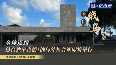 俄乌外长会谈结束
