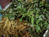 农贸市场里春天的味道：这些野菜你认识吗