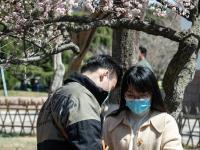 定格春日！中山公园赏花季如约而至