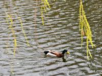 没错，北岭山的春天属于孩子们