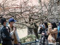 定格春日！中山公园赏花季如约而至