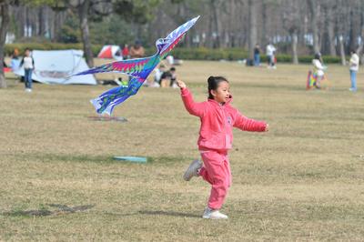 纸鸢漫天飞，这才是春天正确的打开方式