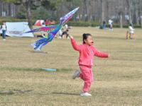 纸鸢漫天飞，这才是春天正确的打开方式