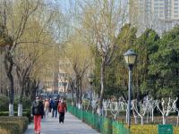 戴口罩、不扎堆……实拍沧口公园锻炼者：谢谢自律的你