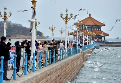 赶紧来“鸥遇”，错过等半年